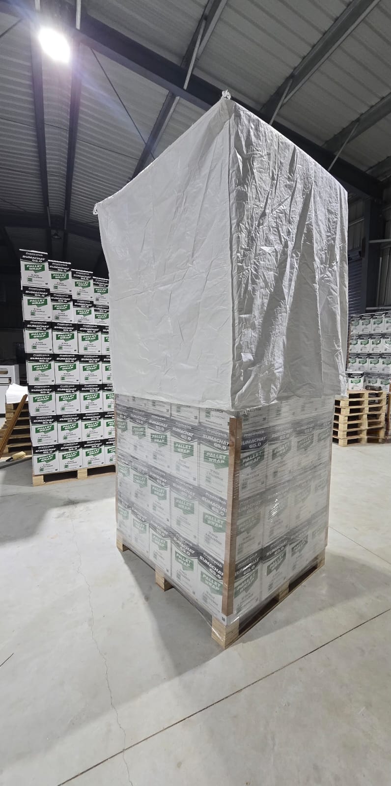 Stretch Film Export Packaging